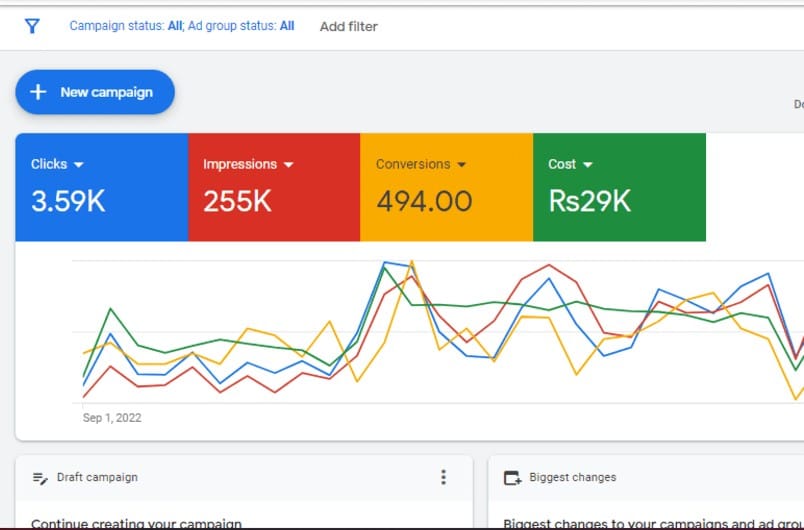 Google Ads Dashboard Screenshot showing 3.59K clicks, 255K impressions, 494 conversions, and Rs29K cost